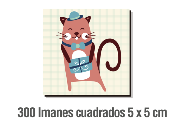 300 IMANES CUADRADOS 5 X 5 CM