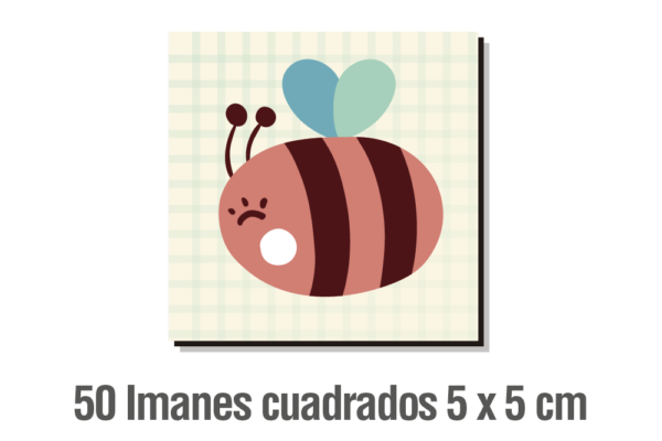 50 IMANES CUADRADOS 5 X 5 CM