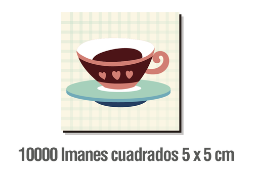 10.000 IMANES CUADRADOS 5 X 5 CM