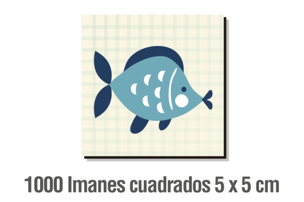 1.000 IMANES CUADRADOS 5 X 5 CM