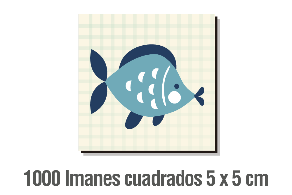 1.000 IMANES CUADRADOS 5 X 5 CM