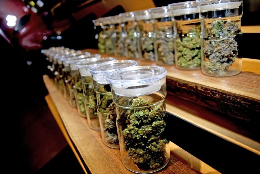 carnet-de-socio-para-asociacion-cannabis